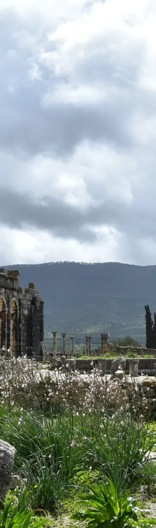 Volubilis